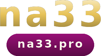 na33 logo